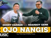 Lirik Lagu Ojo Nangis - Denny Caknan Feat Ndarboy Genk