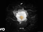 Lirik Lagu Without You - Avicii, Sandro Cavazza