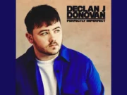 Lirik Lagu Perfectly Imperfect dan Terjemahan - Declan J Donovan