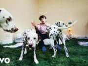 Lirik Lagu THE SHADE - Rex Orange County (Terjemahan)