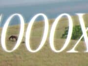 Lirik Lagu 1000X - Ghea Indrawari