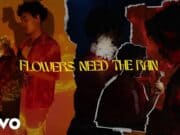 Lirik Lagu Flowers Need Rain - Preston Pablo (Terjemahan)