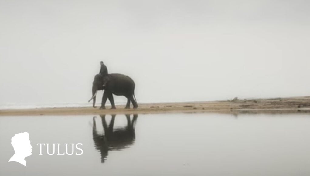 Lirik Lagu Gajah - Tulus